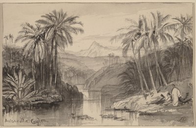  بواسطة إدوارد لير