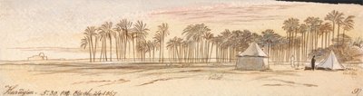  بواسطة إدوارد لير