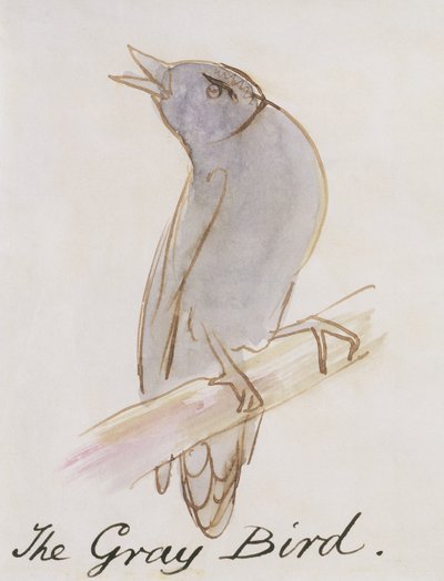 الطائر الرمادي ، من "ستة عشر رسمًا للطيور الهزلية" (قلم وحبر ومرحاض على ورق) بواسطة إدوارد لير