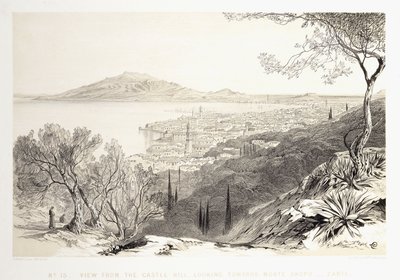 منظر من تل القلعة ، ينظر إلى مونتي سكوبو ، زانت ، 1863 بواسطة إدوارد لير