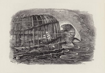 رسم توضيحي للأطفال الصغار بواسطة تشارلز كينجسلي (نقش) بواسطة إدوارد لينلي (بعد) سامبورن