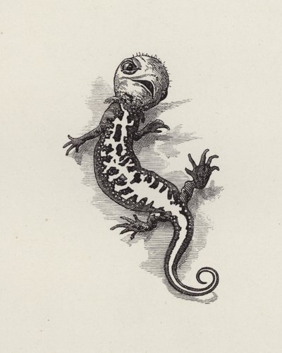 رسم توضيحي للأطفال الصغار بواسطة تشارلز كينجسلي (نقش) بواسطة إدوارد لينلي (بعد) سامبورن