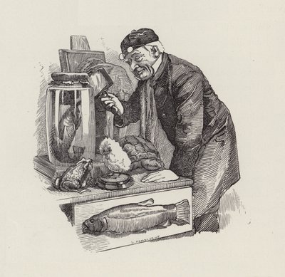 رسم توضيحي للأطفال الصغار بواسطة تشارلز كينجسلي (نقش) بواسطة إدوارد لينلي (بعد) سامبورن