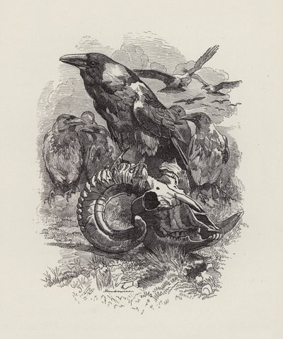 رسم توضيحي للأطفال الصغار بواسطة تشارلز كينجسلي (نقش) بواسطة إدوارد لينلي (بعد) سامبورن