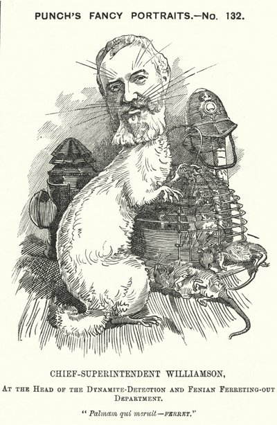 Punch cartoon: Adolphus Williamson, British police officer and first head of the Detective Branch of the Metropolitan Police (engraving) بواسطة إدوارد لينلي (بعد) سامبورن