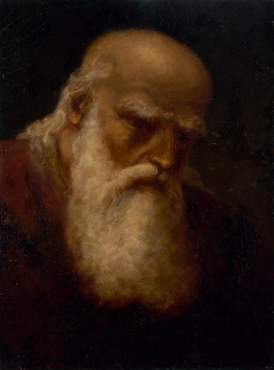 سانت لوقا ، كاليفورنيا. 1869-1873. بواسطة إدوارد ميتشل بانيستر