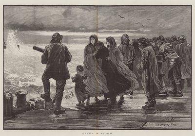 بعد العاصفة بواسطة Edward Morant Cox