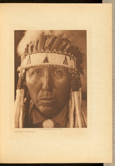 الطائر الأحمر - شايان بواسطة Edward S. Curtis