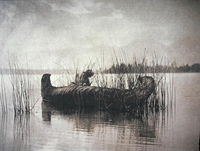 The Rush Gatherer ، مونتانا (صورة b / w) بواسطة إدوارد شريف كيرتس