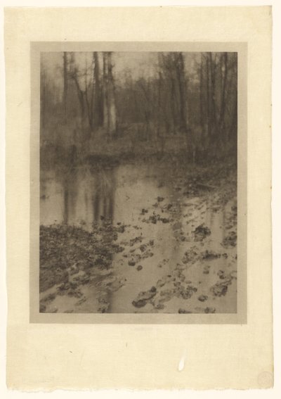 حمام السباحة بواسطة Edward Steichen