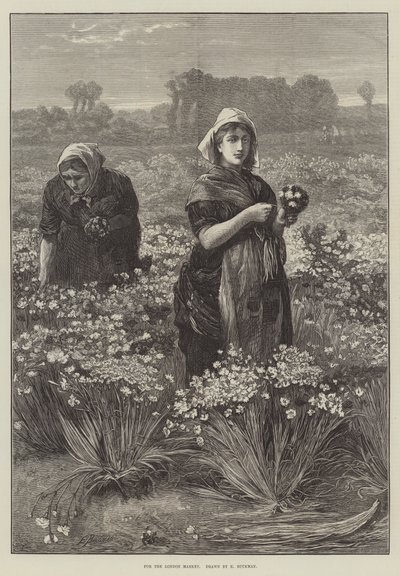 لسوق لندن (النقش) بواسطة إدوين بوكمان