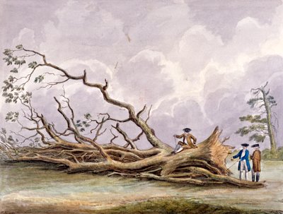 الأشجار التي دمرتها عاصفة 15 أكتوبر ، روهامبتون ، لندن ، 1780 بواسطة إدوين إدواردز