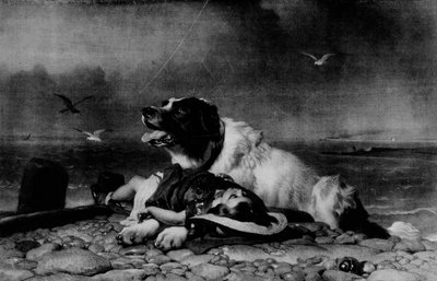 تم الحفظ !، c1856 ، 1911 بواسطة إدوين لاندسير