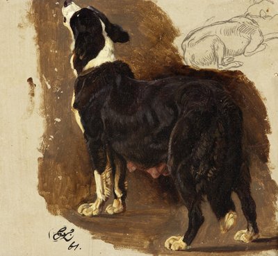 Collie Bitch (زيت وقلم رصاص على البطاقة) بواسطة إدوين لاندسير
