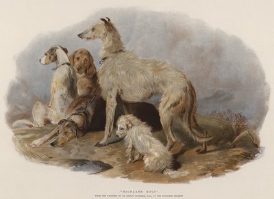 كلاب المرتفعات (chromolitho) بواسطة إدوين لاندسير