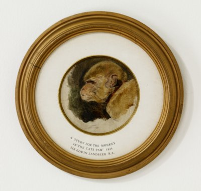 دراسة عن القرد في &39;The Cat&39;s Paw&39; ، 1824 (زيت وجرافيت على لوح بلوط) (انظر أيضًا 488012) بواسطة إدوين لاندسير