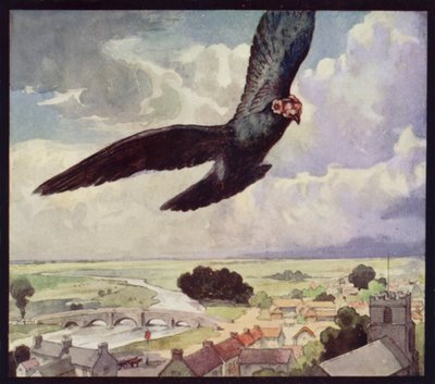 A Carrier-Pigeon on the Wing (لون ليثو) بواسطة إدوين نوبل