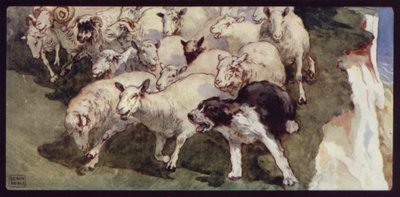 Bobtailed Sheep-Dog and Flock on the Cliffs (لون ليثو) بواسطة إدوين نوبل