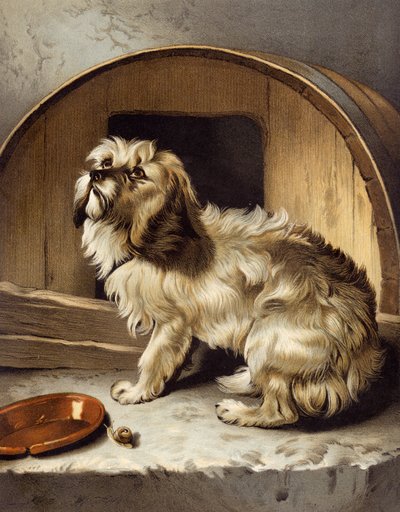 لا مكان مثل المنزل بواسطة إدوين بعد Landseer