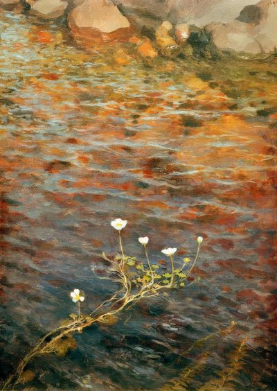 محلاق الماء بواسطة Eero Nikolai Jarnefelt