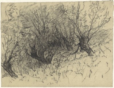 بعض صفصاف بولارد بواسطة إغبرت روبيرتوس ديرك شاب