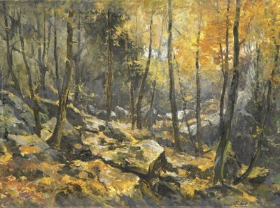 "فيلسنمير" بواسطة إغبرت روبيرتوس ديرك شاب