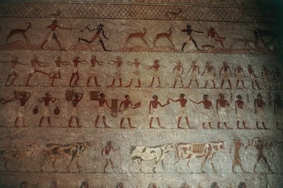مقبرة بني حسن. مقبرة أمنمحات ، التفاصيل: لوحات جدارية تصور مشاهد الصيد والحياة الريفية بواسطة الأسرة الثانية عشرة المصرية