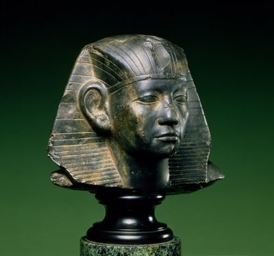 رأس الملك أمنمحات الثالث ، من أسوان ، المملكة الوسطى ، 1842-1797 قبل الميلاد (الحجر الجيري الأحفوري الداكن) بواسطة الأسرة الثانية عشرة المصرية