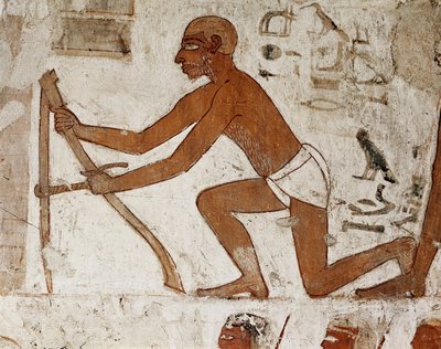 حرفي يأخذ قياسات لبناء جدار ، تفاصيل اللوحة الجدارية التي تزين قبر رخمير ، حاكم طيبة ووزير في عهد الفراعنة تحتمس الثالث وأمينوفيس الثاني (الأسرة الثامنة عشر 1500 إلى 1292 قبل الميلاد) ، القبر (TT100) ، فال بواسطة الأسرة الثامنة عشر المصرية