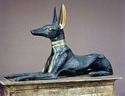 أنوبيس ، إله الموتى المصري من صدر على شكل ضريح ، من قبر توت عنخ آمون (c.1370-52 قبل الميلاد) المملكة الجديدة (الخشب) (انظر أيضًا 63054) بواسطة الأسرة الثامنة عشر المصرية