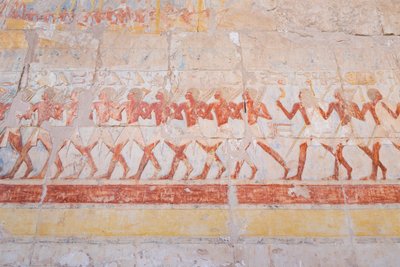 نحت نقش بارز لرحلة حتشبسوت إلى أرض بونت (الصومال) ، معبد حتشبسوت بالدير البحري ، الأقصر ، مصر (صورة) بواسطة الأسرة الثامنة عشر المصرية