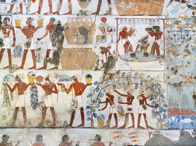 Egypt, Thebes, Luxor, Sheikh 