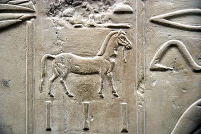 الأنتيكيت المصري: تمثيل لحصان. نقش منخفض لمقبرة الوزير راموس (الأسرة الثامنة عشر). الأقصر ، طيبة ، وادي النبلاء بمصر بواسطة الأسرة الثامنة عشر المصرية