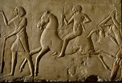الآثار المصرية: "" المحارب على صهوة الجواد "" الإغاثة من قبر لشخصية مرموقة. 1354-1346 ق. الأسرة الثامنة عشر. بولونيا ، Civico Museo Archeologico بواسطة الأسرة الثامنة عشر المصرية