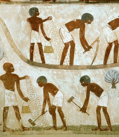  بواسطة الأسرة الثامنة عشر المصرية