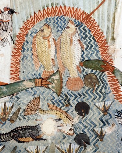 أسماك ، تفاصيل من مشهد الصيد وصيد الأسماك في الأهوار ، لوحة جدارية ، الجدار الشمالي ، الغرفة الطولية ، مقبرة ذيبان TT69 ، الشيخ عبد القرنة ، طيبة (قائمة اليونسكو للتراث العالمي بواسطة الأسرة الثامنة عشر المصرية