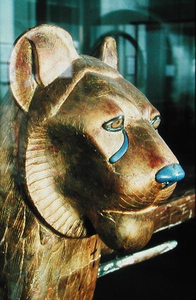 رأس فراش جنائزي على شكل أسد ، من مقبرة توت عنخ آمون (1370-1352 قبل الميلاد) المملكة الحديثة (خشب من الجص المطلي بالذهب) بواسطة الأسرة الثامنة عشر المصرية