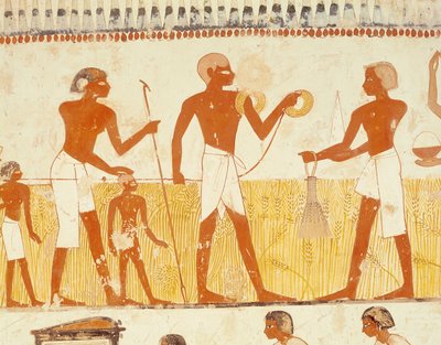 قياس الأرض باستخدام الحبل ، من مصلى قبر منة ، المملكة الحديثة (رسم جداري) (انظر أيضًا 251666) بواسطة Egyptian 18th Dynasty