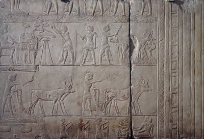 بواسطة الأسرة الثامنة عشر المصرية