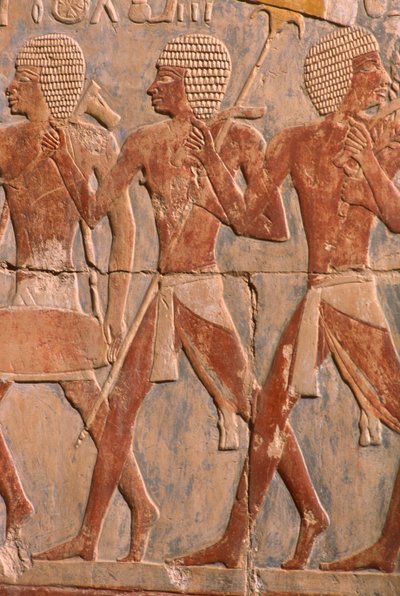 نقش يصور موكبًا تكريما للإلهة حتحور ، التفاصيل ، من معبد حتشبسوت الجنائزي (c.1503-1482 قبل الميلاد) المملكة الجديدة (الحجر الجيري المطلي) (انظر أيضًا 382845) بواسطة الأسرة الثامنة عشر المصرية