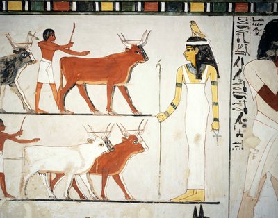  بواسطة الأسرة الثامنة عشر المصرية