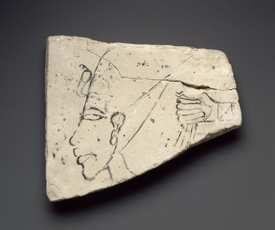 رسم تخطيطي للرأس واليد لأخناتون من القصر الكبير في تل العمارنة (الحجر الجيري) بواسطة Egyptian 18th Dynasty