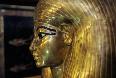 تابوت تجويا، من مقبرة يويا تجويا، وادي الملوك، مصر، الحضارة المصرية، المملكة الحديثة، الأسرة الثامنة عشرة، التفاصيل بواسطة الأسرة الثامنة عشر المصرية