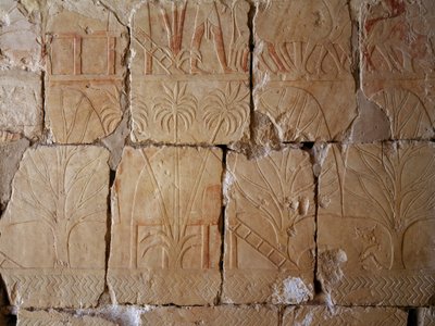 الغطاء النباتي، تفاصيل مشهد يصور رحلة استكشافية إلى أرض بونت، نقش مرسوم، أعمدة بونت، معبد حتشبسوت الجنائزي، دير البحري، مقبرة طيبة (قائمة اليونسكو للتراث العالمي بواسطة الأسرة الثامنة عشر المصرية