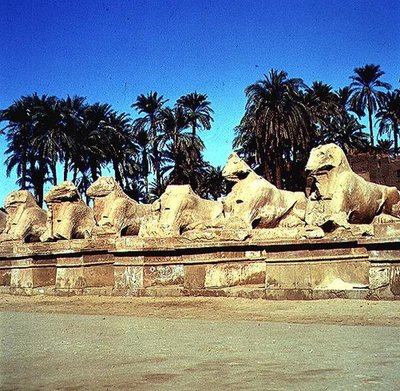 شارع لأبو الهول برأس كبش يبطن طريق المواكب لمعبد آمون العظيم ، المملكة الجديدة بواسطة الأسرة المصرية التاسعة عشرة