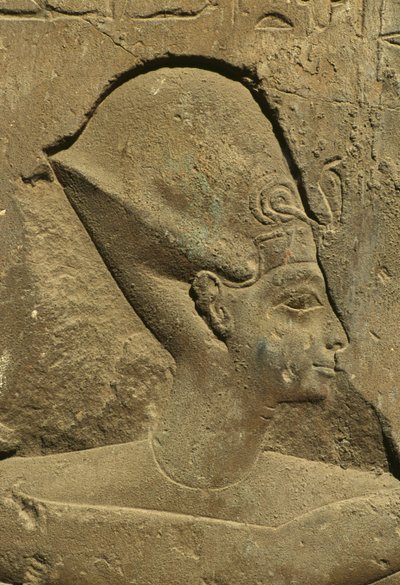 تفاصيل نقش يصور رأس فرعون (حجر) بواسطة الأسرة المصرية التاسعة عشرة