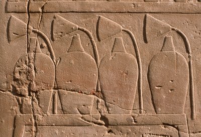 تفاصيل الإغاثة التي تصور الجرار وزهور اللوتس (الحجر الجيري) بواسطة الأسرة المصرية التاسعة عشرة