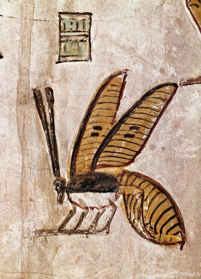 الفن المصري: مقبرة Sethi I (Sety I أو Seti I ، regne من -1294 إلى -1279). التفاصيل من النحلة. الأسرة التاسعة عشر فريسكو الأقصر (موقع طيبة في وادي الملوك) ، الضفة اليسرى لنهر النيل ، مصر. - مصر القديمة: قبر Seti I (Sety I و Seti I ، الذي reig بواسطة الأسرة المصرية التاسعة عشرة
