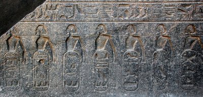 الآثار المصرية: تفاصيل نقش بارز يزين شعارات الأراضي التي احتلها فرعون رمسيس الثاني (1292-1186 قبل الميلاد). معبد الأقصر. الضفة الشرقية (طيبة) ، مصر بواسطة الأسرة المصرية التاسعة عشرة
