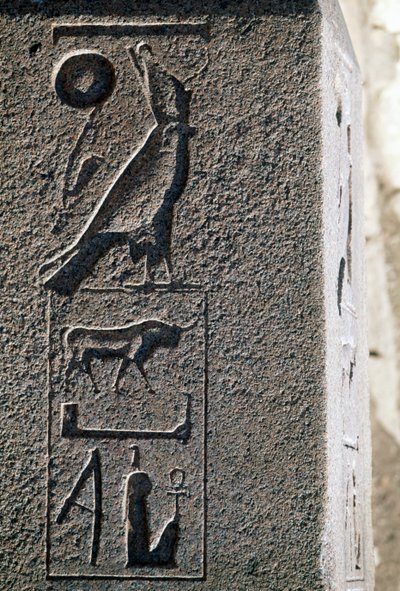  بواسطة الأسرة المصرية التاسعة عشرة